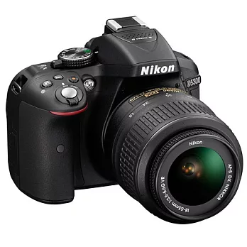 Nikon D5300附18-55mm 變焦單鏡組(中文平輸) - 加送相機清潔組+硬式保護貼黑色