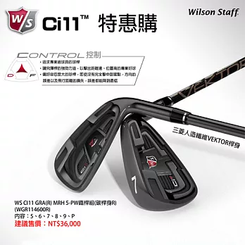 【Wilson】高爾夫鐵桿組 - WGR114600R