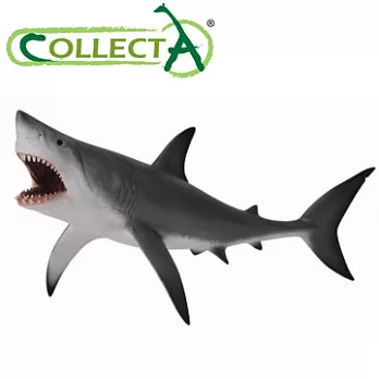 【CollectA】海洋系列 - 大白鯊