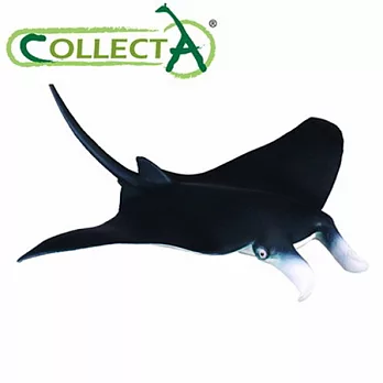 【CollectA】海洋系列 - 蝠魟