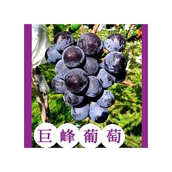 【一籃子.巨峰葡萄 2盒】