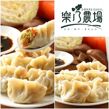 《樂乃農場》鮮蔬水餃(全素) (20顆/包,共兩包)