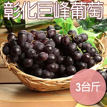 【農夫家】彰化大村★鮮摘巨峰葡萄★3台斤免運