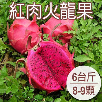 預購【農夫家】紅肉火龍果,吉園圃認證/甜度高/無草腥味,6台斤免運