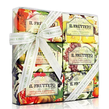 Nesti Dante義大利手工皂-天然鮮果禮盒(150g×6入)