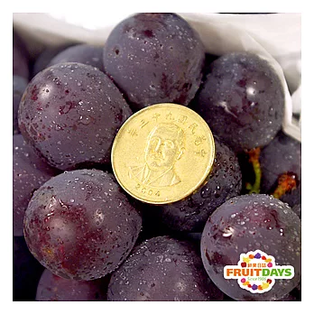 【鮮果日誌】日本岡山縣 貓眼葡萄 (new pione) / 一房