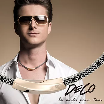 DECO X MASSA-G Titan X1 超合金鍺鈦項鍊搭配費洛蒙墜雪白銀-45cm