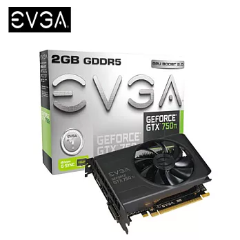 EVGA 艾維克 GTX750TI 2G REF 顯示卡