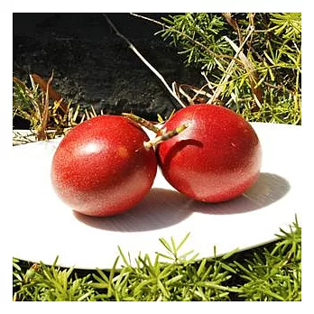 【台灣好農】在欉紅手採百香果(1台斤)