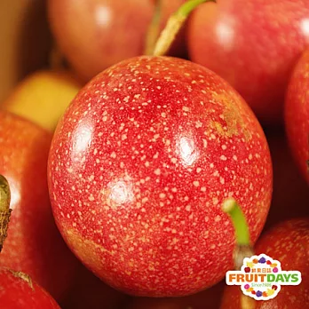 【鮮果日誌】埔里滿天星百香果 4公斤禮盒裝