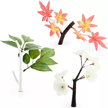 《KIKKERLAND》四季枝枒磁鐵組(3件)