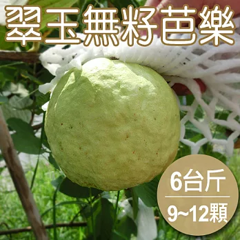 【農夫家】無籽芭樂,無農藥種植,6台斤