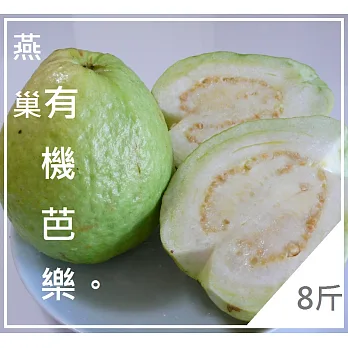 【一籃子】(預購中)不虛胖的有機珍珠芭樂