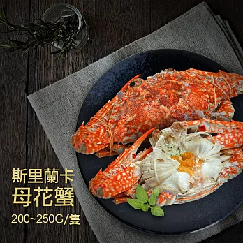【優鮮配】斯里蘭卡母花蟹(200~250g/隻)
