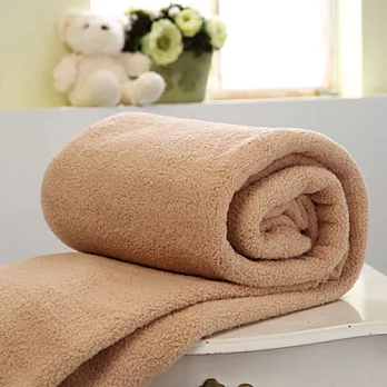 新光北極熊雪絨毯-單人埃及駝*2