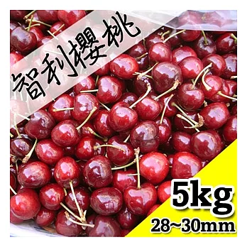 【果漾FruitYoung】└限時空運┘智利鮮採櫻桃XJ(9.5R)規格5KG原裝箱