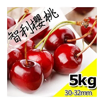 【果漾FruitYoung】└限時空運┘智利鮮採櫻桃XXJ(9R)規格(5KG/原裝箱)