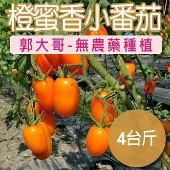 【農夫家】橙蜜香小番茄★無農藥/無化肥★5台斤
