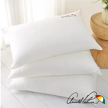 【Arnold Palmer雨傘牌】遠紅外線緹花健康枕2入