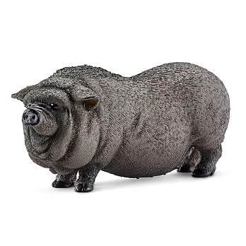 Schleich 史萊奇動物模型-黑毛豬