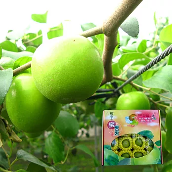 預購~【帝王蜜棗】大粒蜜棗禮盒(3台斤)×4盒入