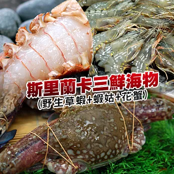 【優鮮配】斯里蘭卡三鮮海物組(野生草蝦+蝦姑+花蟹)
