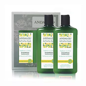 Andalou柑橘葵花潔淨洗髮精340ml x2(禮盒+提袋)