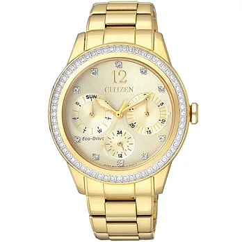 CITIZEN Eco-Drive 閃亮亮質感晶鑽時尚優質女性腕錶-金-FD2012-52P