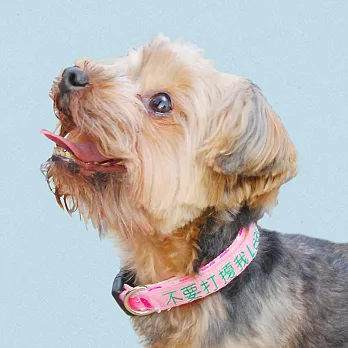 Small talk 狗有話要說 快扣項圈+1句標語(我太胖不能再吃) S粉紅迷彩