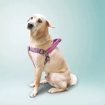 Small talk 狗有話要說 胸背帶+2句標語 (我太胖不能再吃)L桃紅撞色黑白紋