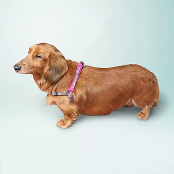 Small talk 狗有話要說 胸背帶+2句標語 (我太胖不能再吃)M桃紅撞色黑白紋