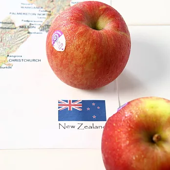 《阿洲水果》紐西蘭富士蘋果(90-100粒)隨機出貨