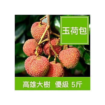 ★高雄大樹【玉荷包】優級