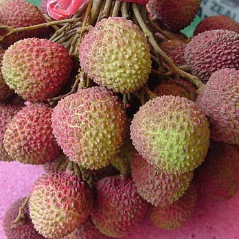 【預購】高雄大樹剪枝玉荷包2盒(5台斤/盒)