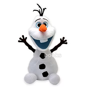 Disney冰雪奇緣【頑皮雪寶Olaf】絨毛玩偶-S號