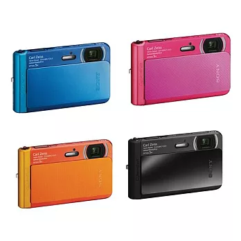 SONY DSC-TX30 數位相機 防水、防塵、防寒及防震的四防達人(中文平輸)-加送清潔組+高透光保護貼黑色