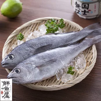 【鮮魚屋】現撈船釣野生急凍台灣黑喉2條