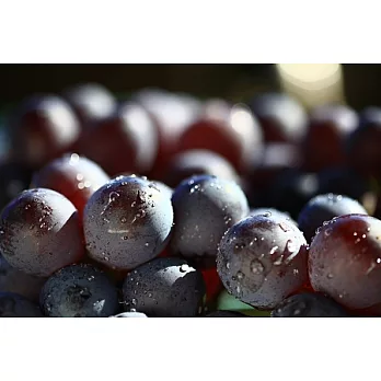 【至尊級】巨峰葡萄 (B)(6盒)