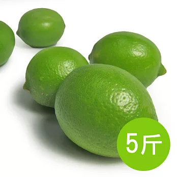 【食在安市集】五冠農場:有機轉型期檸檬5斤