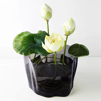 QUALY 晶透流形筒M(晶透黑)