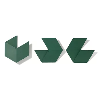 Fold & Plait 大六角-錯視壁掛(黑)