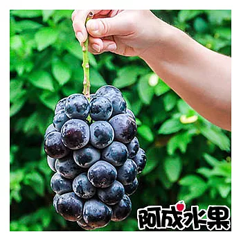 【阿成水果】日本空運岡山無籽貓眼葡萄1串(650g/串)
