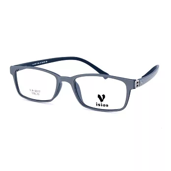 VISION 繽紛潮流 流行方框平光眼鏡VA-2017-C10灰深藍