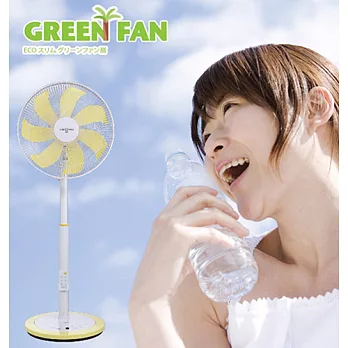 福利品【日本IZUMI】GREEN FAN 14"節能靜音薄型扇(TDF-200Y)