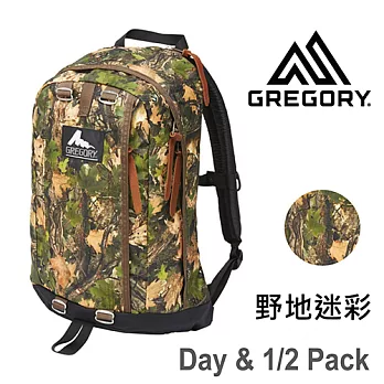 【美國Gregory】Day&1/2 Pack日系休閒後背包33L-野地迷彩