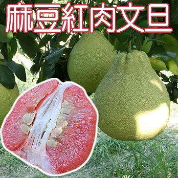 【農夫家】麻豆紅文旦(柚子),果肉香甜/多汁飽水,10台斤
