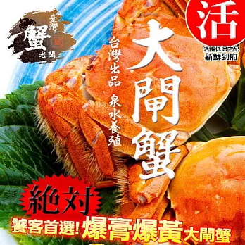 【台灣蟹老闆】台灣大閘蟹4.6-5.1兩(2隻)