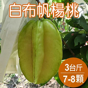 【農夫家】白布帆軟枝楊桃(軟枝品種+馬來品種)，3台斤