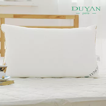 【DUYAN竹漾】奧地利TENCEL天絲兩用枕(1入)