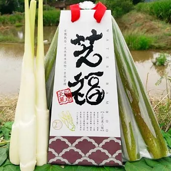 【芝福】三芝區美人腿(2台斤,約13~17支)